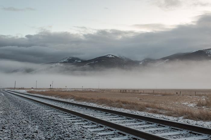 上海雨露国际物流有限公司