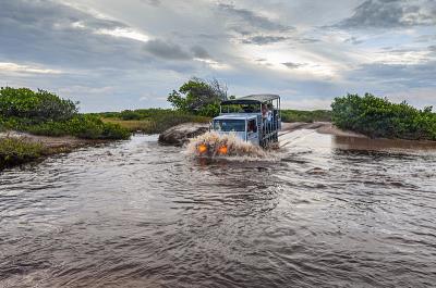东莞市新视界物流有限公司