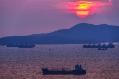 东兴市世通国际物流有限公司