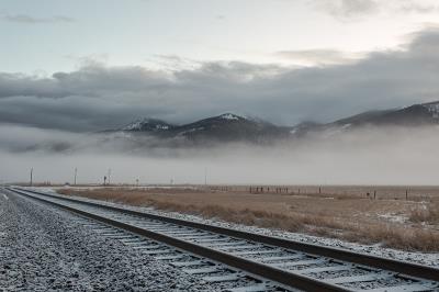 上海雨露国际物流有限公司