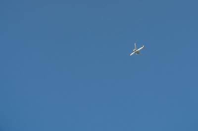 深圳市钰弘国际物流有限公司