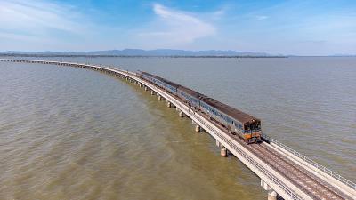 陇南鑫鸿丰物流有限公司