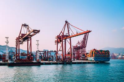 深圳市有为国际电商物流有限公司