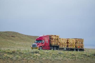 芜湖博奕物流有限公司