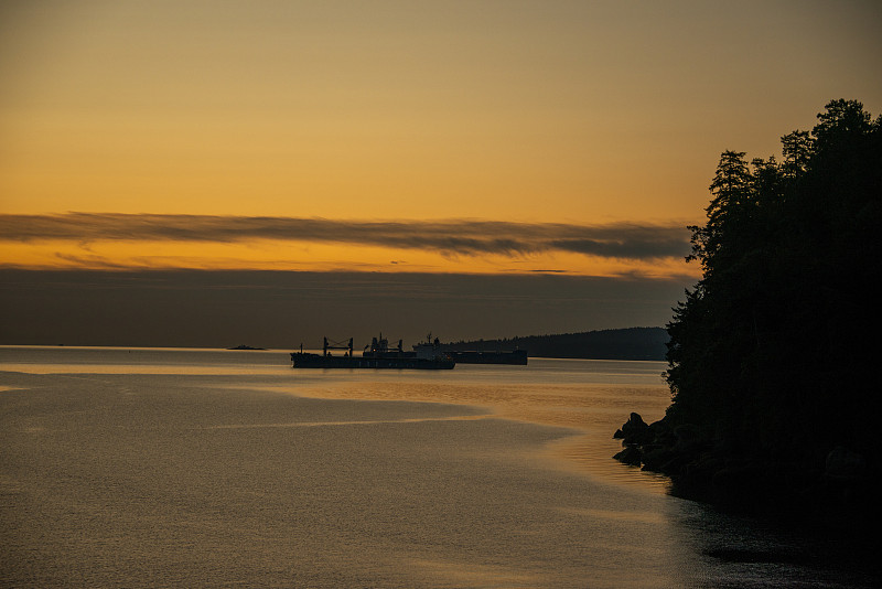 海运到美国走拼箱还是整柜