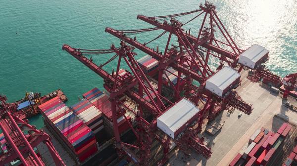 海运公司是否支持包税