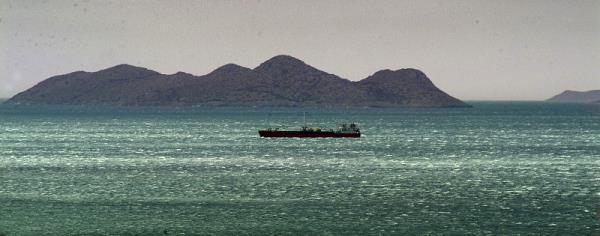 快递到美国太贵怎么办