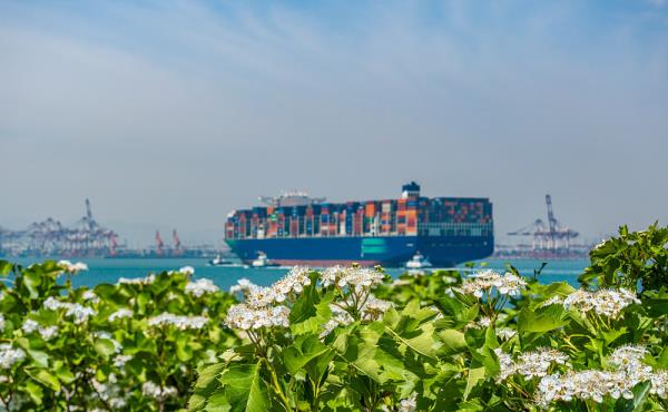 美国海运物流公司,美国海运物流公司价格